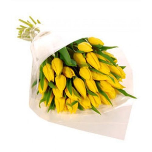 25 жовтих тюльпанів фото