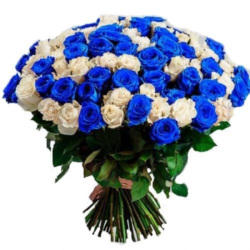 101 біла і синя троянда (фарбована) фото