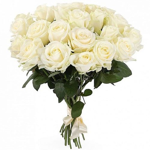 21 біла троянда фото букета