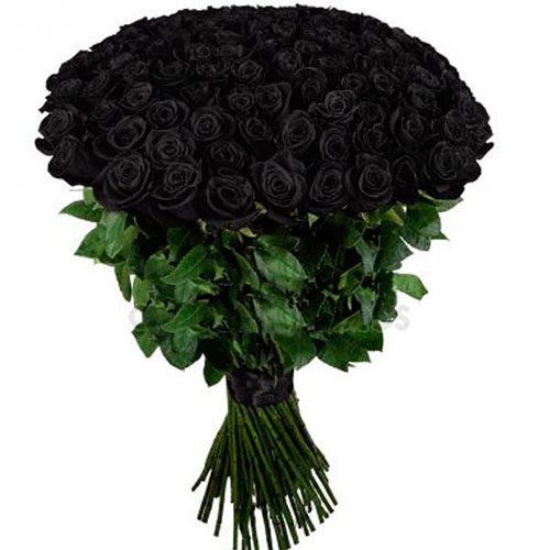 букет 101 чорна троянда картинка