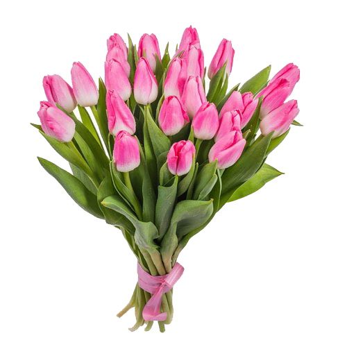фото товару 25 рожевих тюльпанів