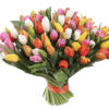 99 різнокольорових тюльпанів