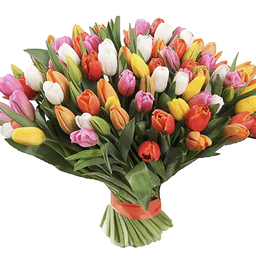 99 різнокольорових тюльпанів