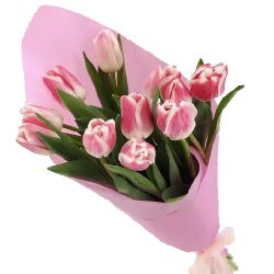фото товару 11 рожевих тюльпанів