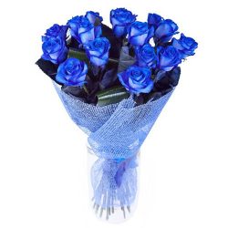 Фото товара 17 блакитних троянд (фарбованих)