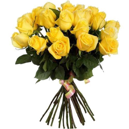Фото товара 25 жовтих троянд