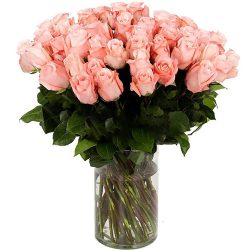 Фото товара Троянда імпортна рожева (поштучно)