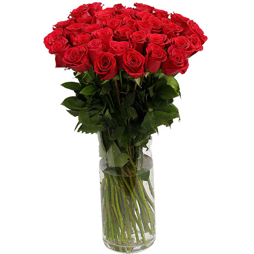 фото товара Троянда імпортна червона (поштучно) | «Квітка Він»