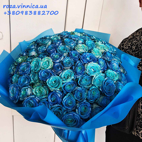 сині троянди фото