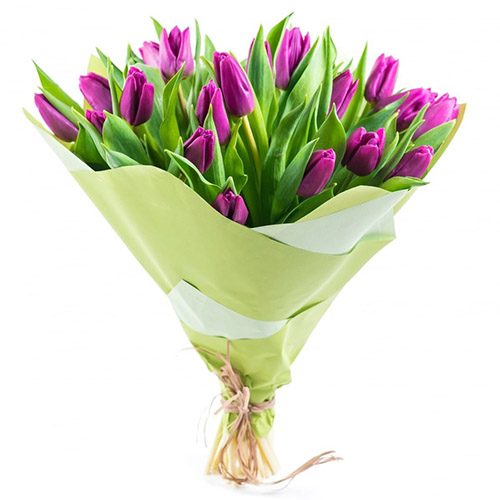 Фото товара 25 пурпурних тюльпанів