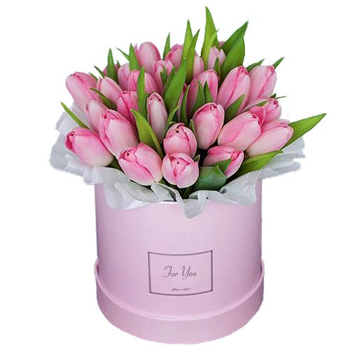 Фото товара 31 ніжно-рожевий тюльпан у коробці