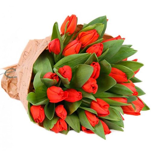 Фото товара 35 червоних тюльпанів у "газеті"