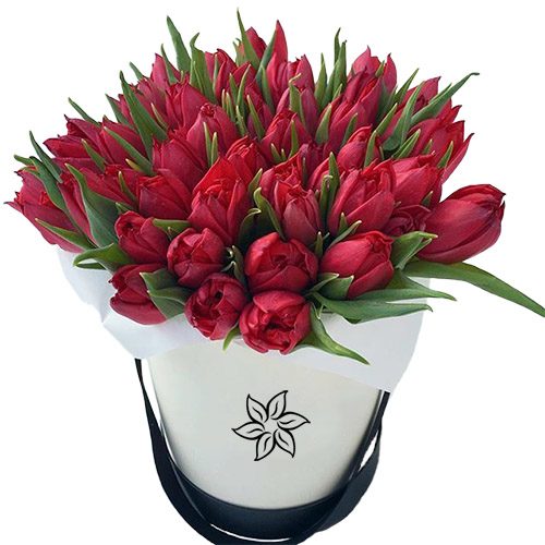 Фото товара 45 червоних тюльпанів у коробці