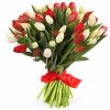 Фото товара 75 червоно-білих тюльпанів (зі стрічкою)
