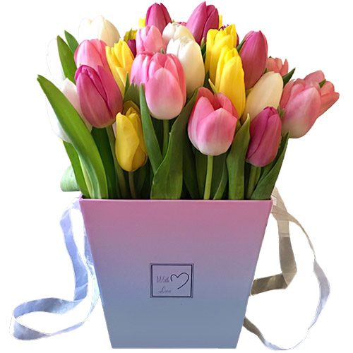 Фото товара 31 тюльпан "Весняний вітер" у квадратній коробці