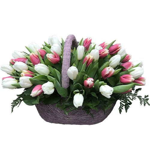 Фото товара 51 біло-рожевий тюльпан у кошику