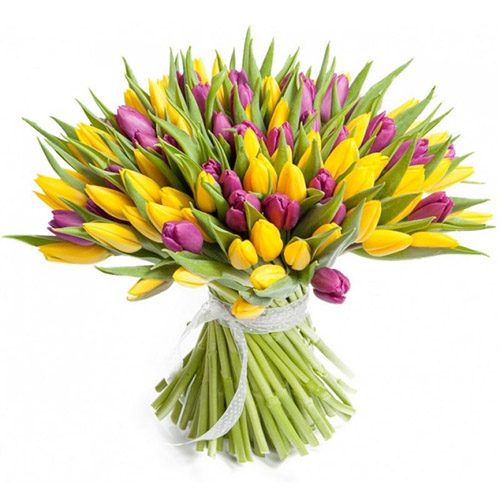 Фото товара 75 фіолетово-жовтих тюльпанів