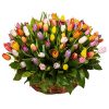 Фото товара 75 фіолетово-жовтих тюльпанів