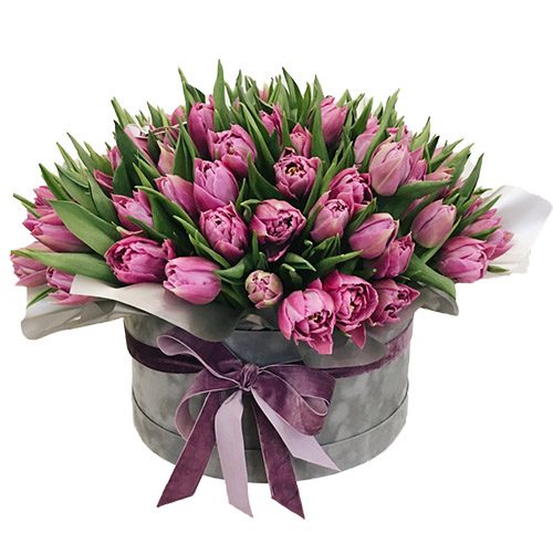 Фото товара 101 пурпурний тюльпан у коробці