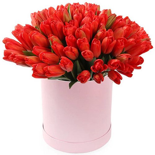 Фото товара 101 червоний тюльпан у коробці