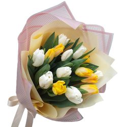Фото товара 15 бело-жёлтых тюльпанов