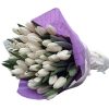 Фото товара 51 бело-пурпурный тюльпан (с лентой)