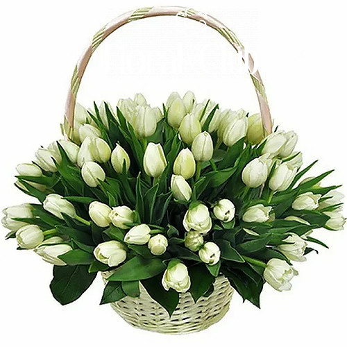 Фото товара "Сахарная вата" 51 белый тюльпан в корзине