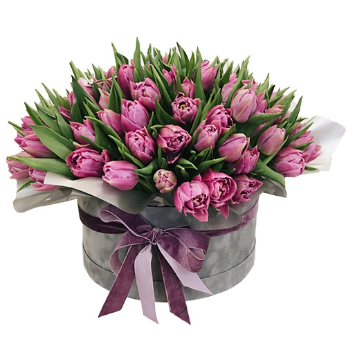 Фото товара 101 пурпурный тюльпан в коробке