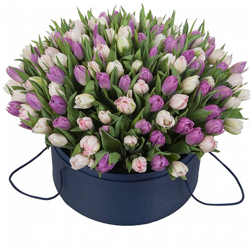 Фото товара 201 тюльпан (два цвета) в коробке