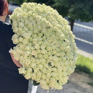 201 біла троянда у Вінниці фото