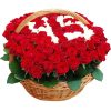 Фото товара 101 роза "Инь-Ян" в корзине