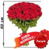 Фото товара 51 троянда мікс червона і біла (50 см)