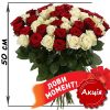Фото товара 25 червоних троянд (50 см)