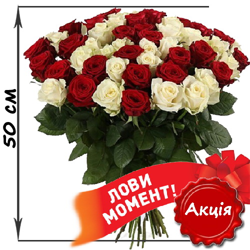 Фото товара 51 троянда мікс червона і біла (50 см)