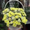 Фото товара Корзина "Белые хризантемы, жёлтые розы"