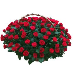 Фото товара 101 червона троянда в кошику