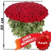Фото товара 101 роза микс красная и белая (50 см)