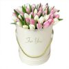 Фото товара 51 біло-рожевий тюльпан у коробці