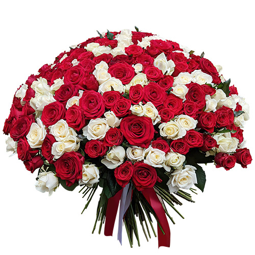 Фото товара 201 червона і біла троянда