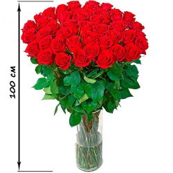 Фото товара 35 високих троянд (100 см)