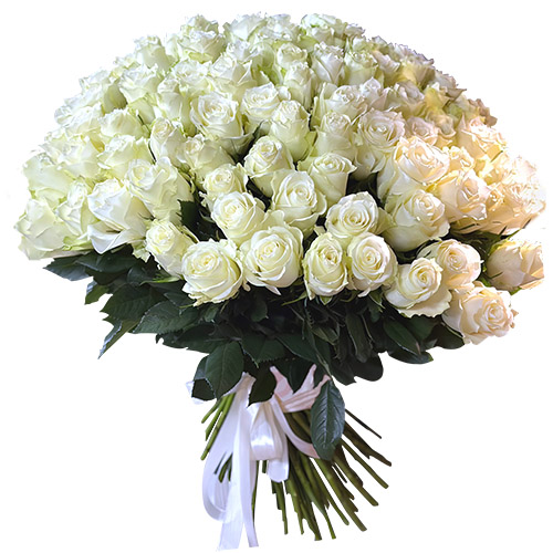 фото товара 101 белая импортная роза | «Квитка Вин»